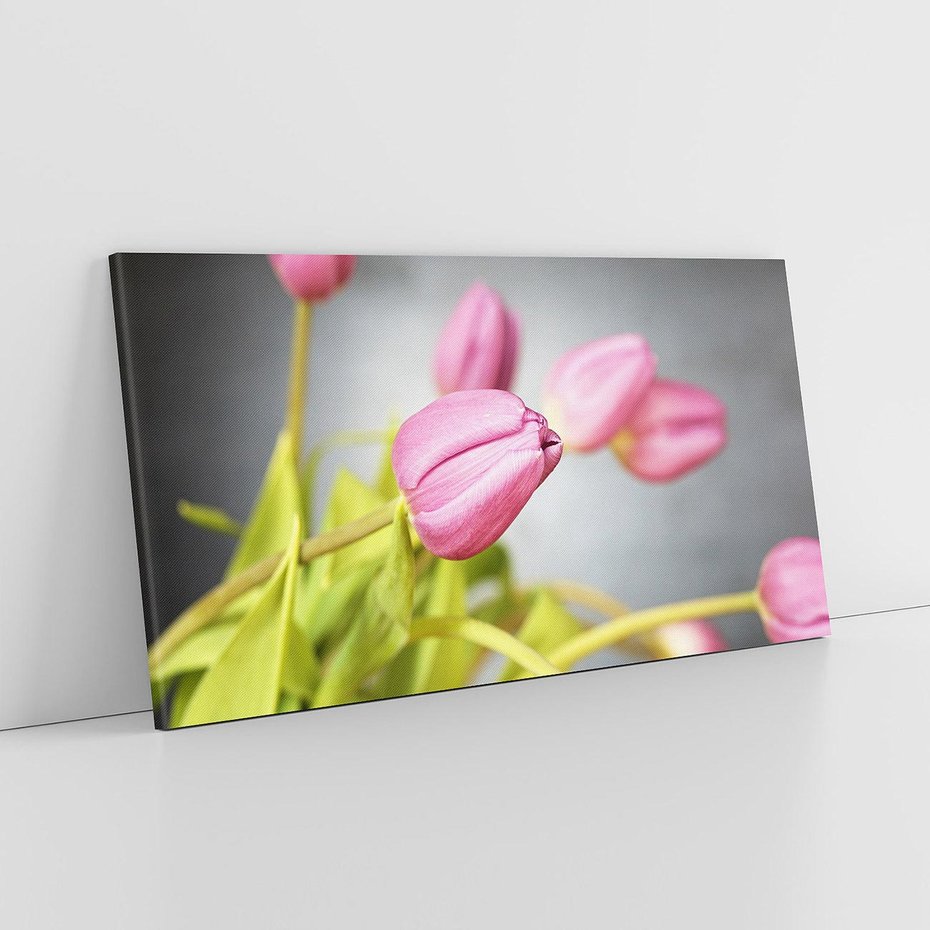 Obraz na płótnie 120x60 - Tulipanowy urok - tulipany, kwiat