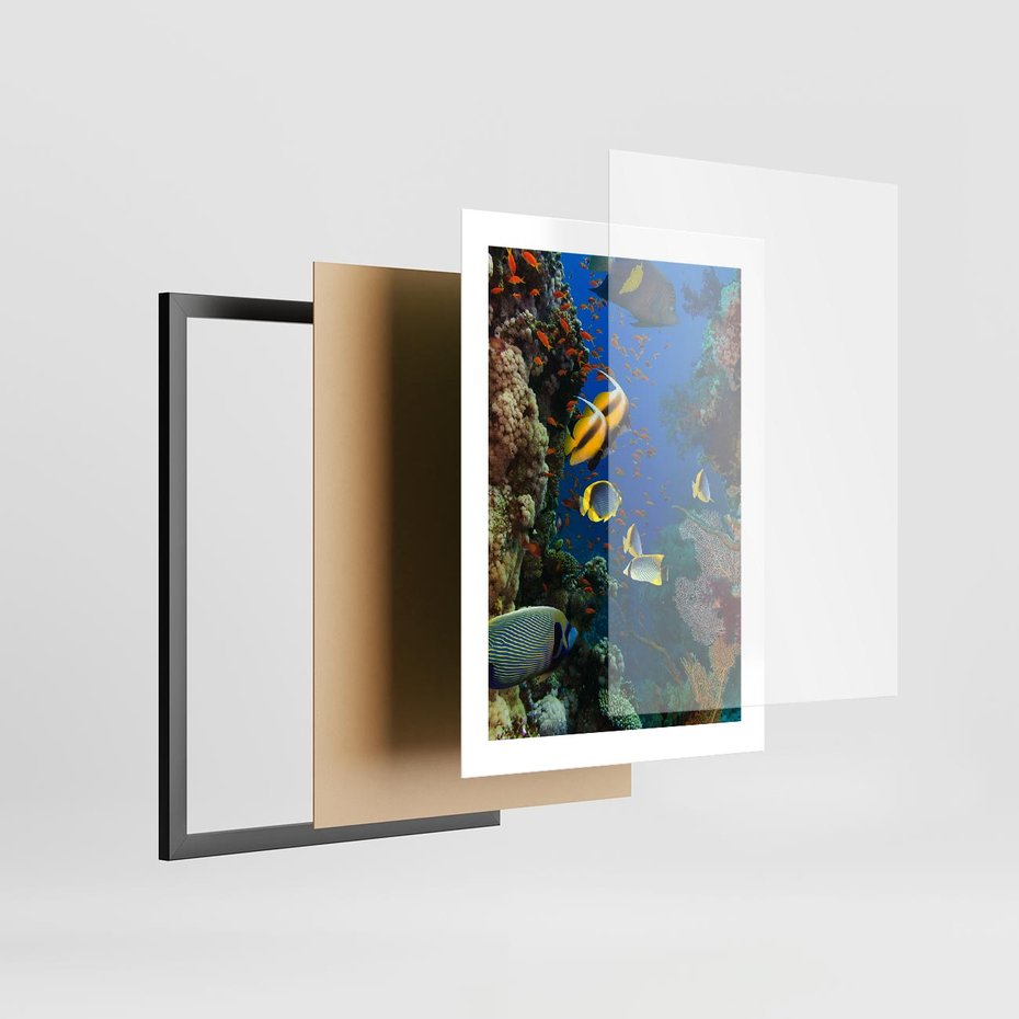 Plakat w ramie 30x40 - Podwodne królestwo rafy koralowej - rafa, koralowa - rama czarna