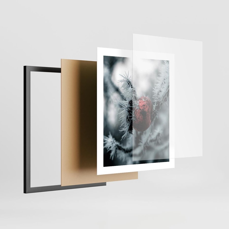 Plakat w ramie 40x50 - Chwila Zimowego Uroku - zima, ośnieżona gałązka - rama czarna