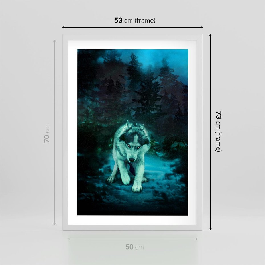 Plakat w ramie 50x70 - Siła i wdzięk natury - wilk, husky - rama biała