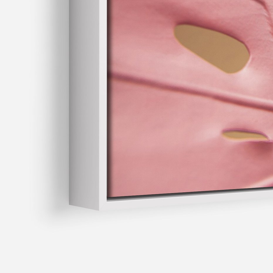 Obraz w ramie 50x70 - Różowa monstera w pełnym rozkwicie - różowa, monstera - rama biała