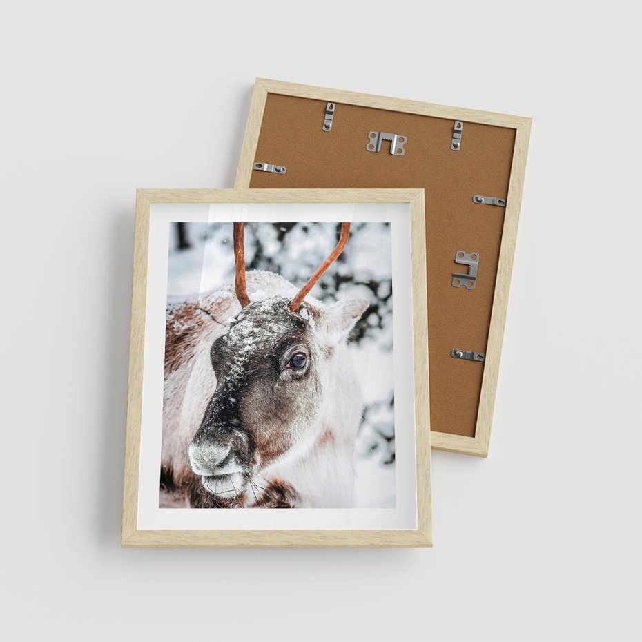 Plakat w ramie 40x50 - Renifer w Zimowej Krainie - renifer, zima - rama drewno