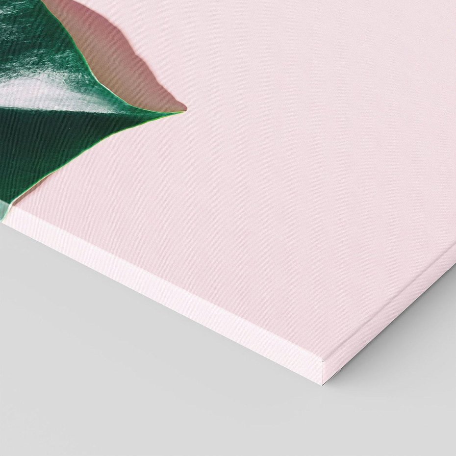 Obraz na płótnie 100x70 - Siła Natury - liście, monstera