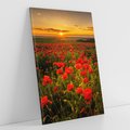Obraz na płótnie 50x70 - Maki przy zachodzie słońca - maki, zachód