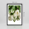 Plakat w ramie 50x70 - Białe tulipany w pełnym rozkwicie - białe, tulipany - rama czarna