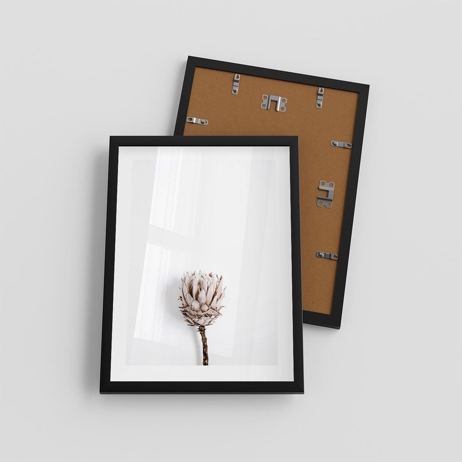 Plakat w ramie 30x40 - Suszona Roślina na Białym Tle - minimalizm, suszona roślina - rama czarna