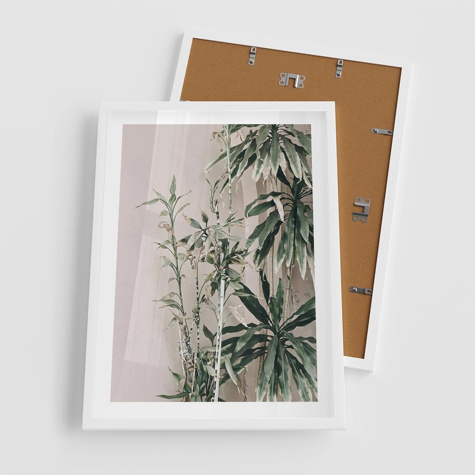 Plakat w ramie 50x70 - Egzotyczna Kompozycja - liście, rośliny tropikalne na tle ściany - rama biała