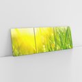 Obraz na płótnie 90x30 - Piękno Poranka - łąka, trawa