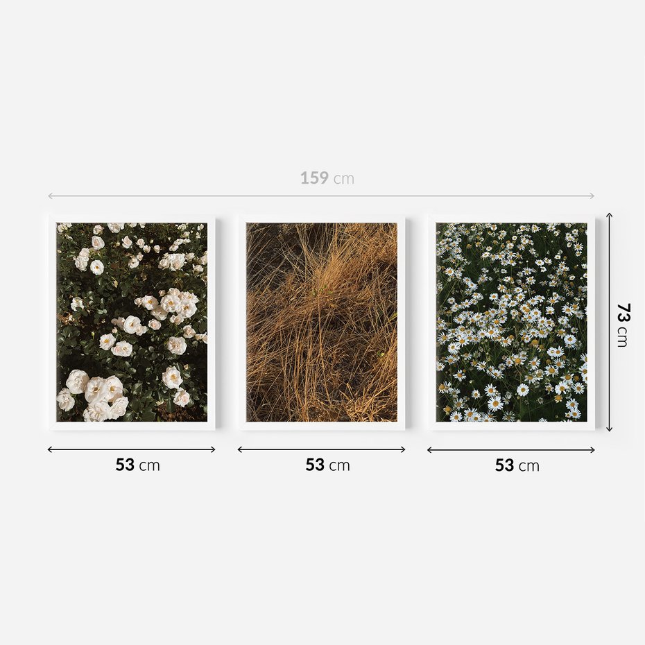 Zestaw obrazy w ramie 50x70 galeria - Boho, kwiaty, suche, trawy - rama biała