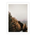 Plakat bez ramy 40x50 - Kolorowa Jesień w Górskim Lesie - las, jesień