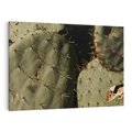 Obraz na płótnie 100x70 - Urok Egzotyki - kaktusy, boho