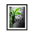 Plakat w ramie 40x50 - Bambusowa Harmonia - bambus, liście - rama czarna