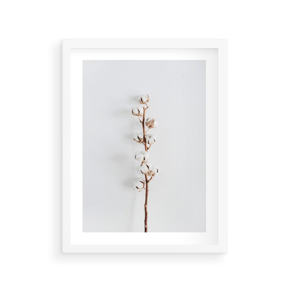 Plakat w ramie 30x40 - Minimalistyczna Gałązka Bawełny - bawełna, gałązka bawełny - rama biała
