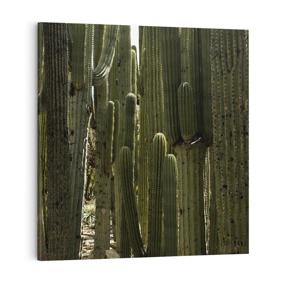 Obraz na płótnie 70x70 - Wyjątkowy Klimat Boho - kaktusy, pustynia