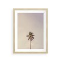 Plakat w ramie 30x40 - Samotna Palma pod Niebem - samotna palma, na tle nieba - rama drewno