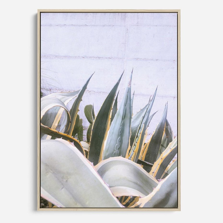 Obraz w ramie 70x100 - Sukulentowe liście - liście, sukulenty - rama drewno