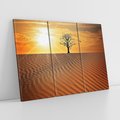 Obraz na płótnie 120x80 - Pustynia - Drzewo i słońce - pustynia, drzewo