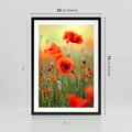 Plakat w ramie 50x70 - Makowa Pasja - maki, kwiaty - rama czarna