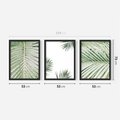 Zestaw obrazy w ramie 50x70 galeria - Liście, palma, tropikalne - rama czarna