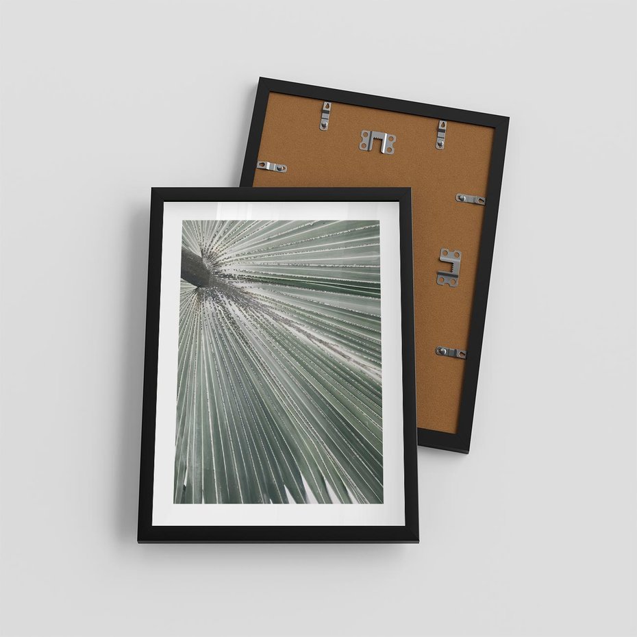 Plakat w ramie 30x40 - Jasnozielony Świat - palma, liść - rama czarna