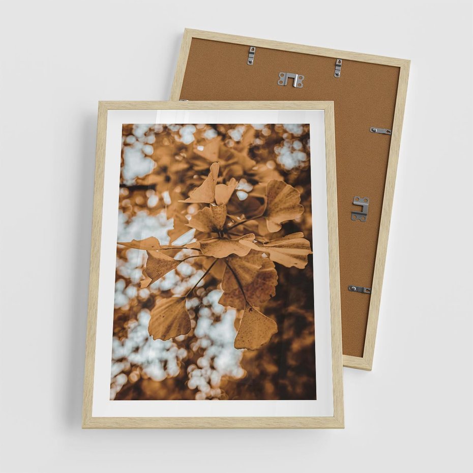 Plakat w ramie 50x70 - Nostalgiczny Miłorząb - miłorząb, liście - rama drewno