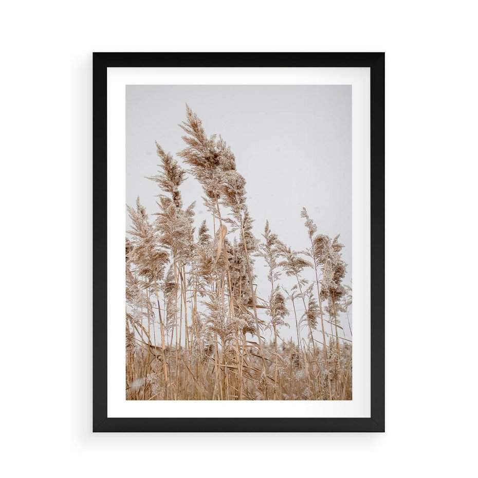 Plakat w ramie 50x70 - Boho Urok - trawy, pampas - rama czarna