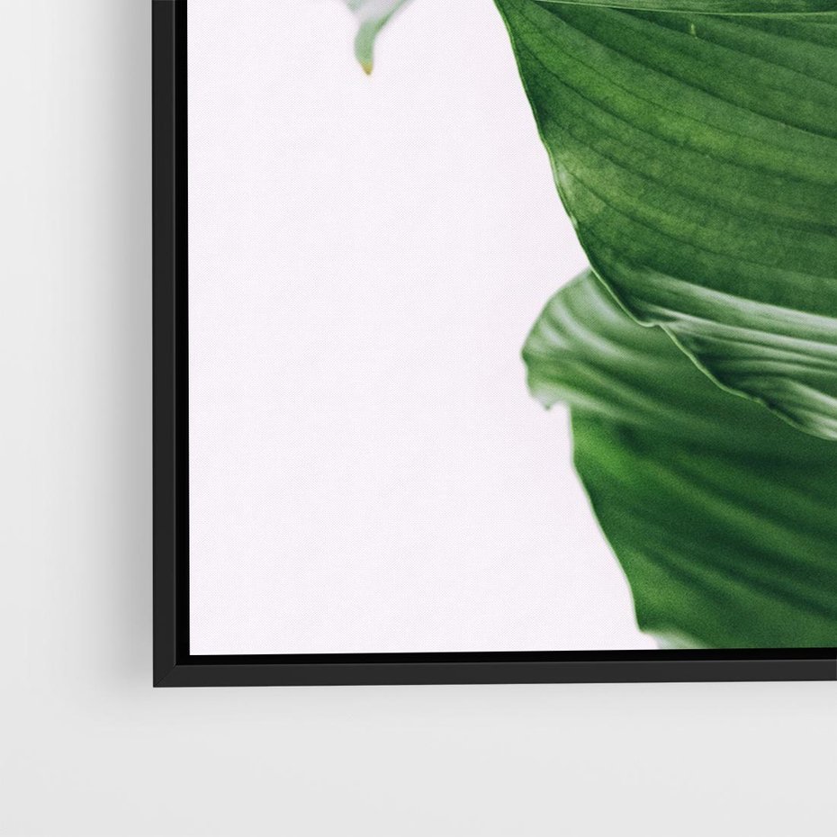 Obraz w ramie 50x50 - Zielone liście monstery - liście, monstera - rama czarna