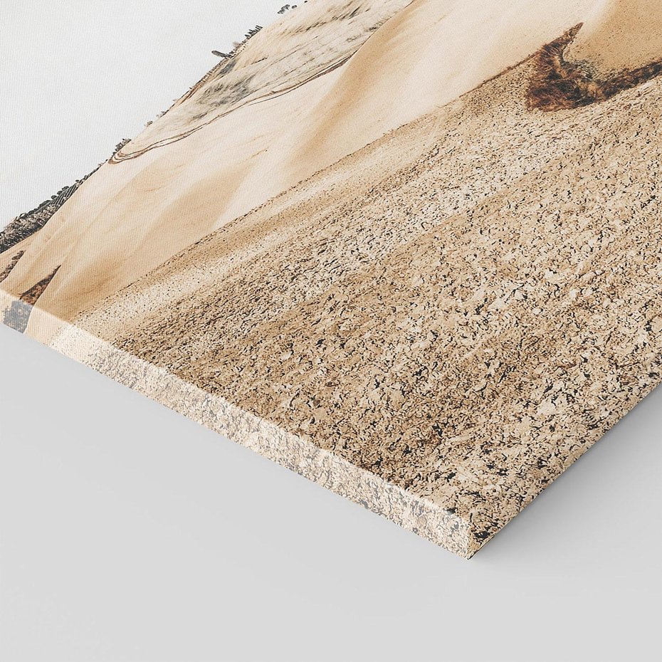 Obraz na płótnie 60x60 - Refleksyjny taniec myśli - pustynny krajobraz, odcienie sepii