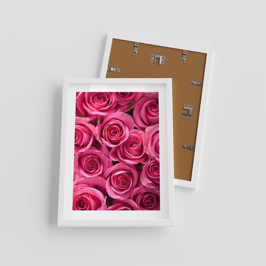 Plakat w ramie 30x40 - Romantyczne róże w pełnym rozkwicie - róże, kwiaty - rama biała