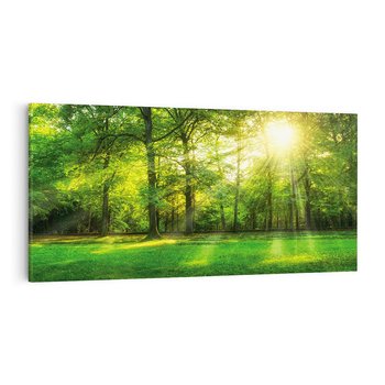 Obraz na płótnie 120x60 - Moc lasu - las, drzewa