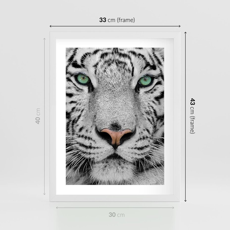 Plakat w ramie 30x40 - Magia Białego Tygrysa - biały, tygrys - rama biała