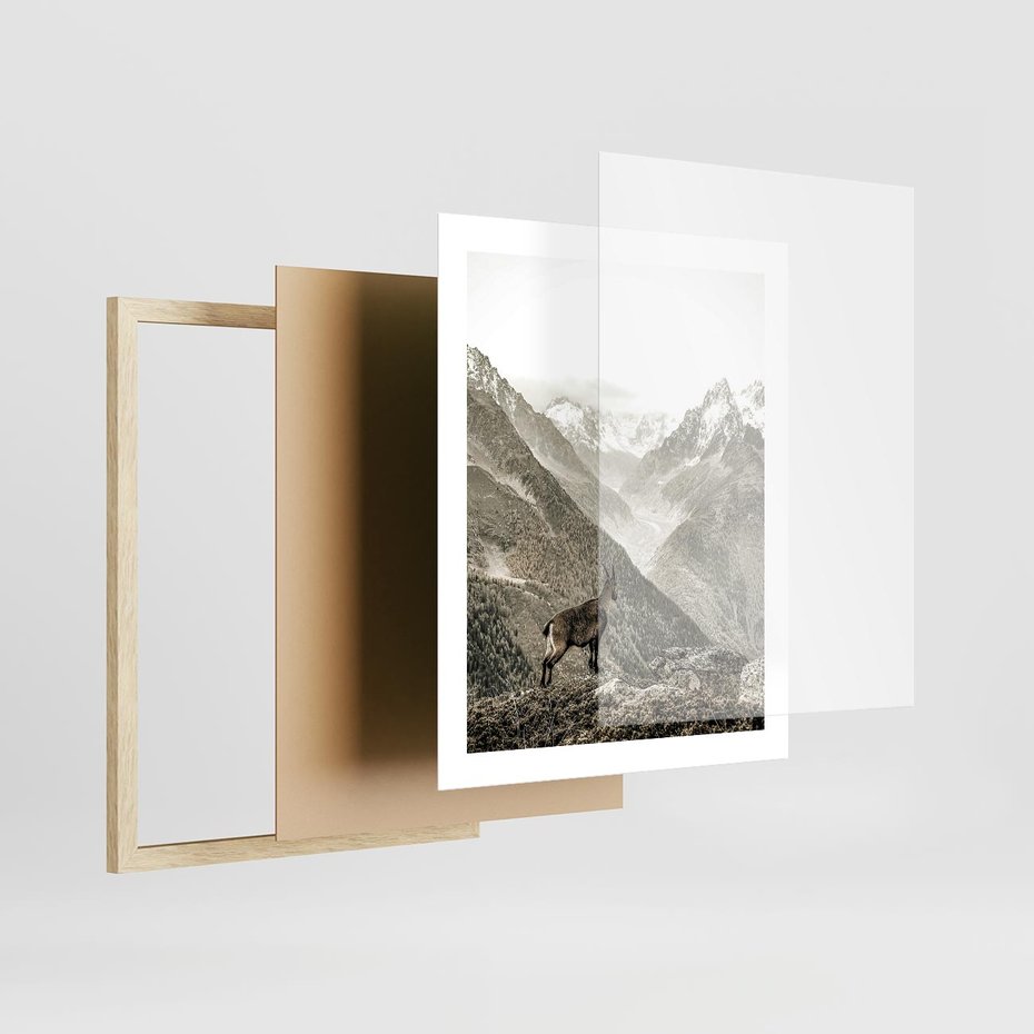 Plakat w ramie 40x50 - Dzikie Piękno: Kozica w Malowniczym Górskim Scenerii - kozica, góry - rama drewno