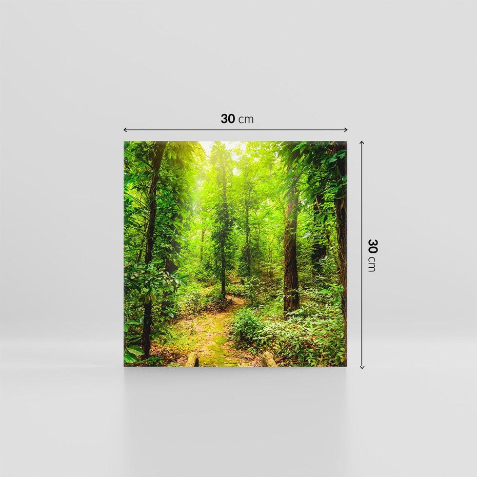 Obraz na płótnie 30x30 - Współistnienie z naturą - drzewa, las