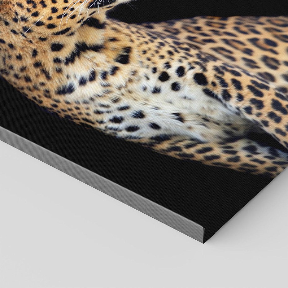 Obraz na płótnie 30x30 - Elegancja Jaguarowej Pantery - jaguar, pantera