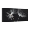 Obraz na płótnie 100x50 - Delikatność Wiatru - dmuchawce, makro
