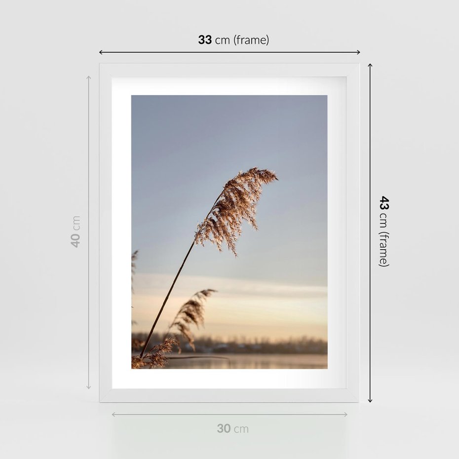 Plakat w ramie 30x40 - Naturalna Delikatność - trawy, boho - rama biała