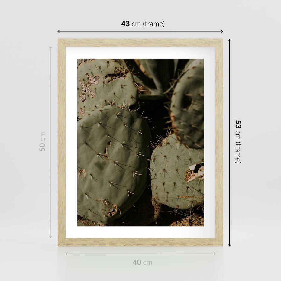 Plakat w ramie 40x50 - Urok Egzotyki - kaktusy, boho - rama drewno