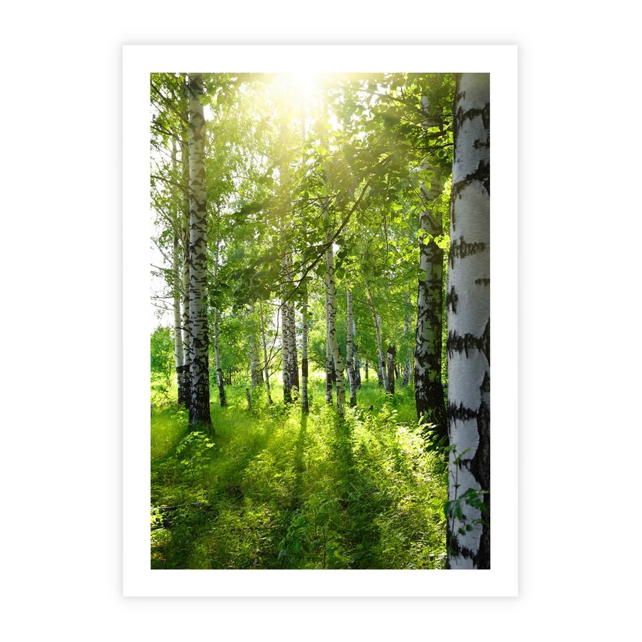 Plakat bez ramy 30x40 - Lasowa Księżycowa Noc - las, drzewa