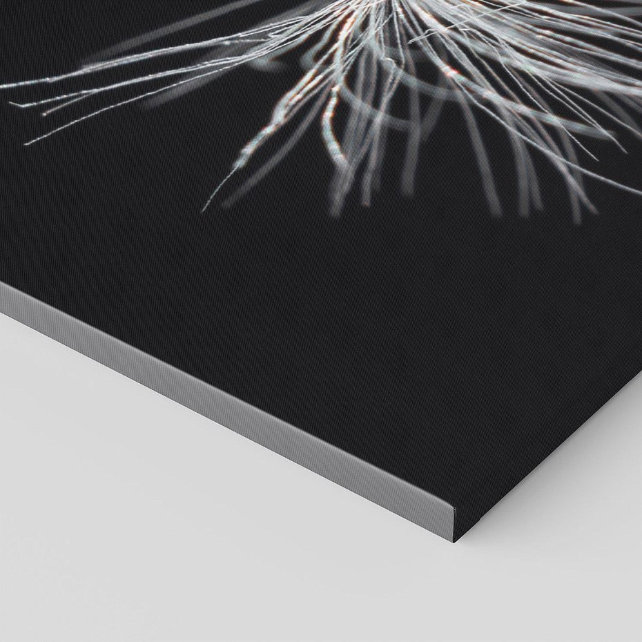 Obraz na płótnie 140x70 - Delikatność Wiatru - dmuchawce, makro