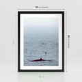 Plakat w ramie 30x40 - Spotkanie z Orką - morze, ocean - rama czarna