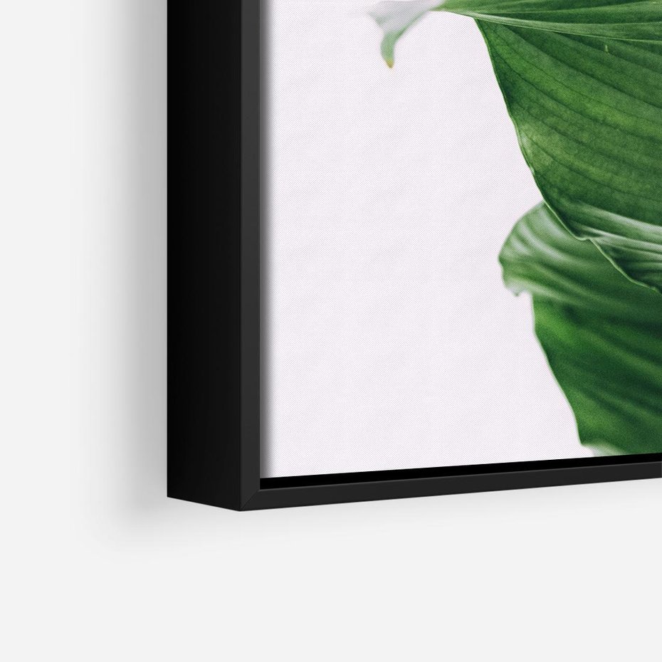 Obraz w ramie 50x50 - Zielone liście monstery - liście, monstera - rama czarna