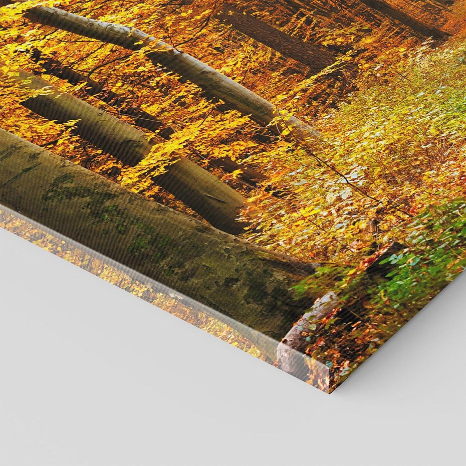 Obraz na płótnie 120x80 - Jesień w lesie - las, drzewa