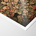 Plakat bez ramy 30x40 - Jesień z Lotu Ptaka: Malowniczy Las - las jesienią z lotu ptaka