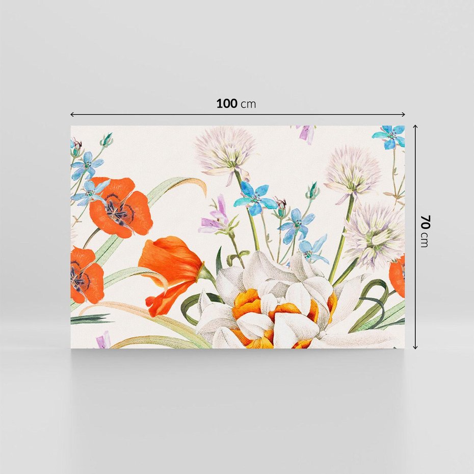 Obraz na płótnie 100x70 - Polne Kwiaty - polne kwiaty, na białym tle