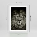 Plakat w ramie 50x70 - Moc lewego spojrzenia - lew, czarno - rama biała