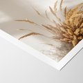 Plakat bez ramy 30x40 - Natura i Elegancja: Obraz Boho - trawy, boho
