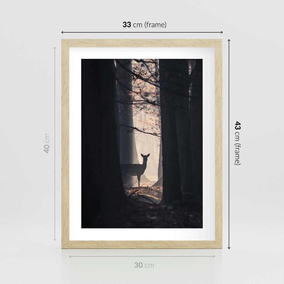 Plakat w ramie 30x40 - Sarnie Skoki - zdjęcie, klimatyczny las - rama drewno