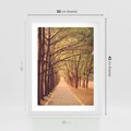 Plakat w ramie 30x40 - Wędrówka między drzewami - droga, drzewa - rama biała