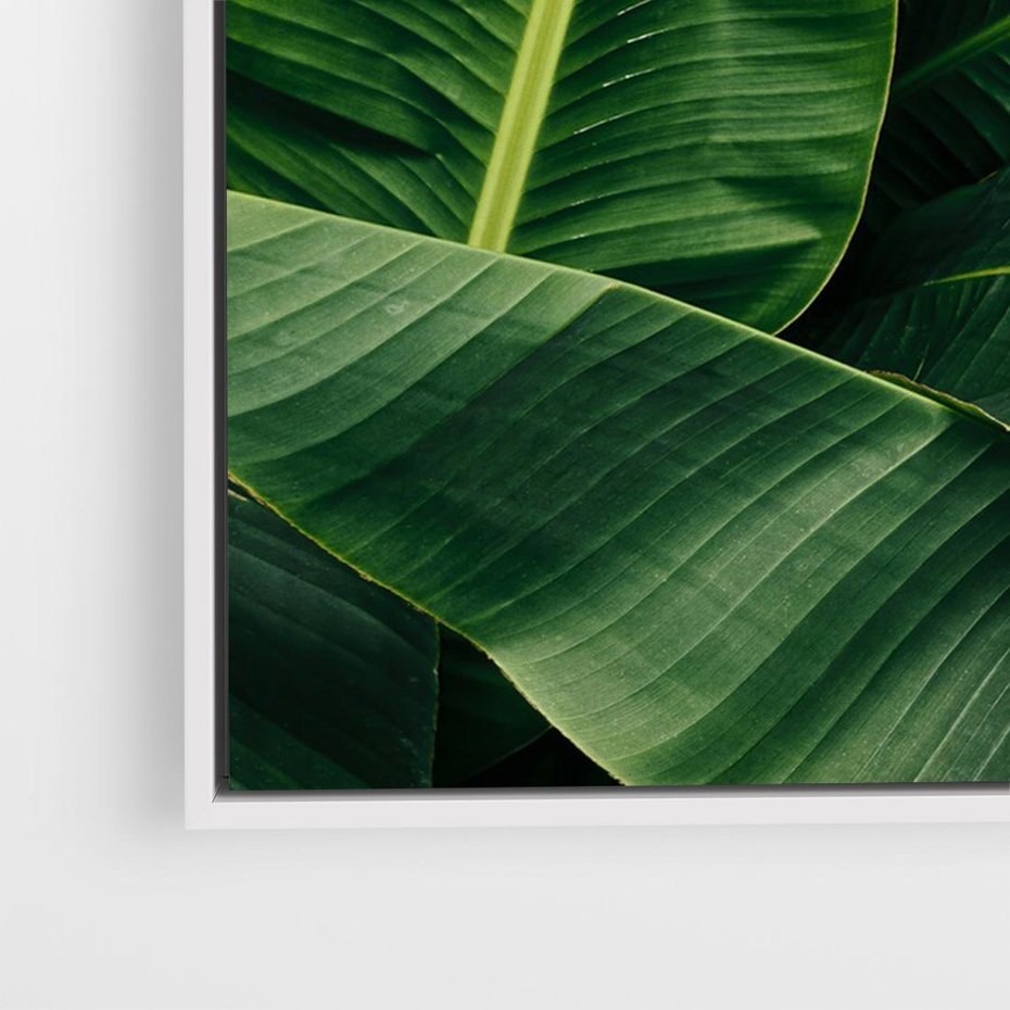 Obraz w ramie 100x70 - Zaklęta roślinna ekspresja - liście bananowca, gęsto ułożone - rama biała