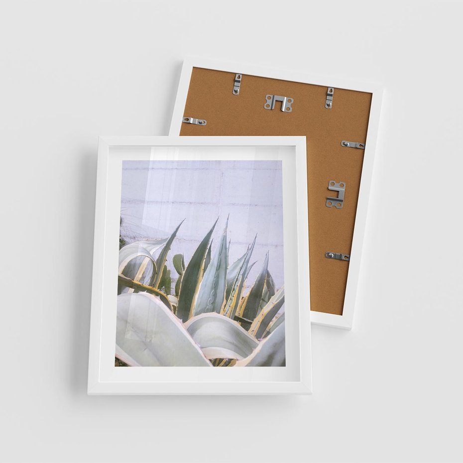 Plakat w ramie 40x50 - Sukulentowe liście - liście, sukulenty - rama biała